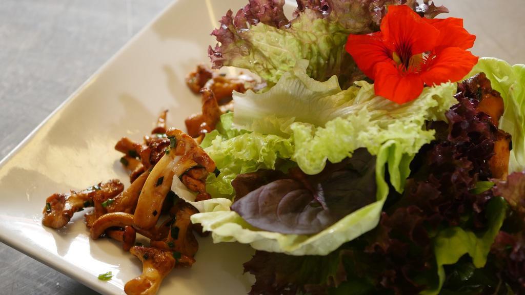 Hotel & Brauerei-Gasthof Neuwirt นอยบวร์ก อันแดร์ โดเนา ภายนอก รูปภาพ